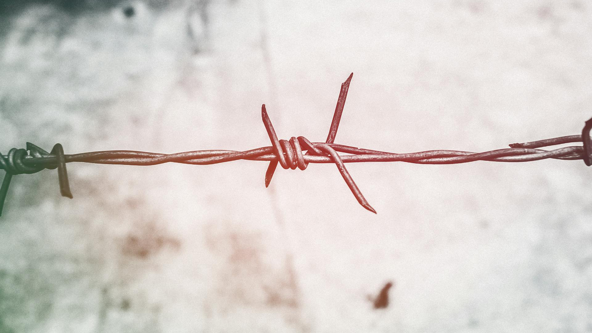 Barbed wire